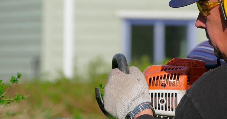 Pruning Bushes